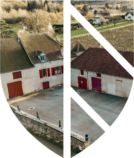 Contactez-nous