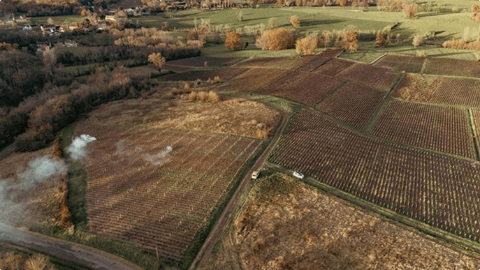 Une terre de vins